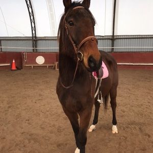 Meet your Posher, Melissa